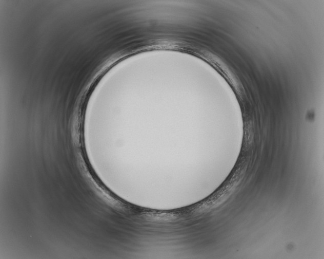 X0000116300851201001111116