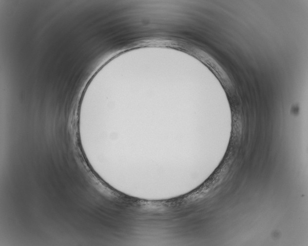 X0000116300852201001111116