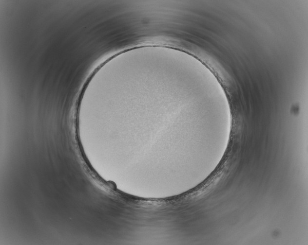 X0000116300854201001111116