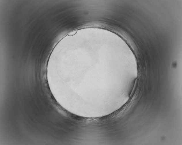 X0000116300858201001111116