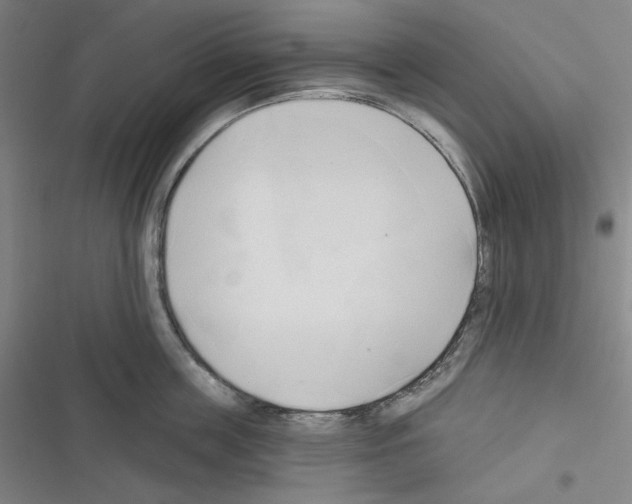 X0000116300859201001111116