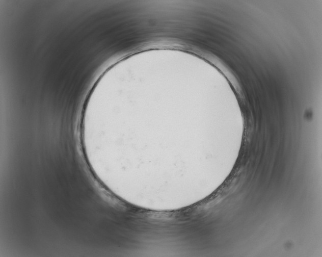 X0000116300861201001111116