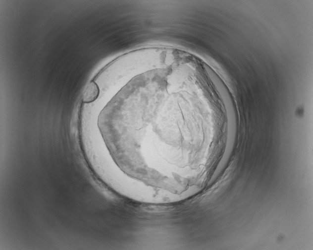 X0000116300862201001111116