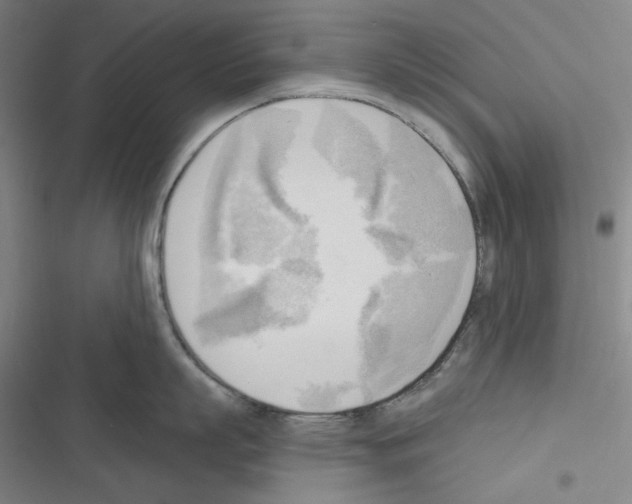 X0000116300863201001111116