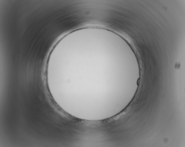 X0000116300864201001111116