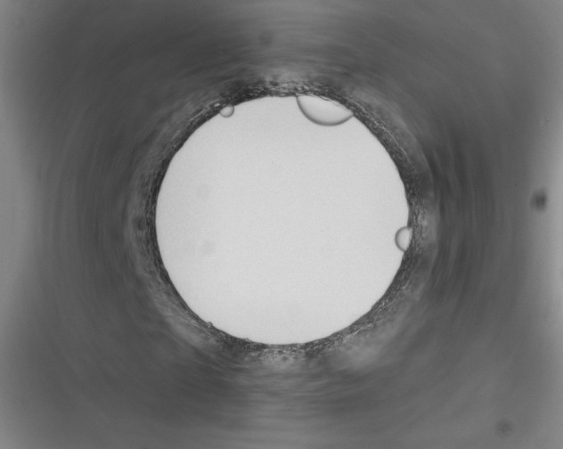 X0000116300865201001111115