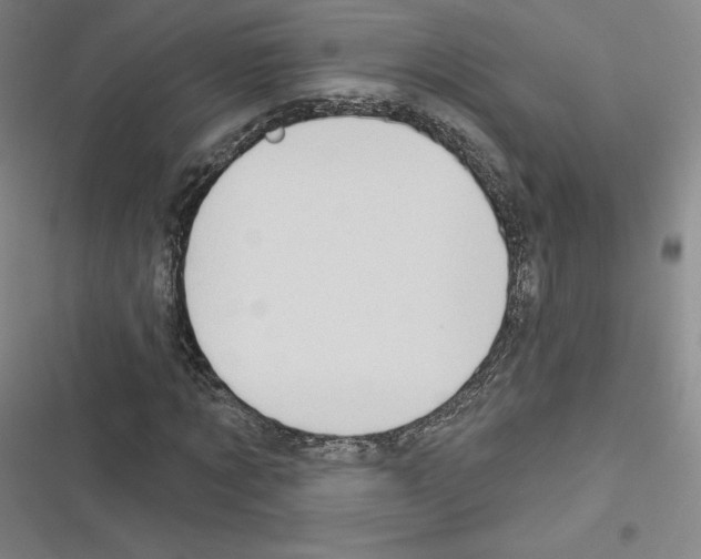 X0000116300869201001111115