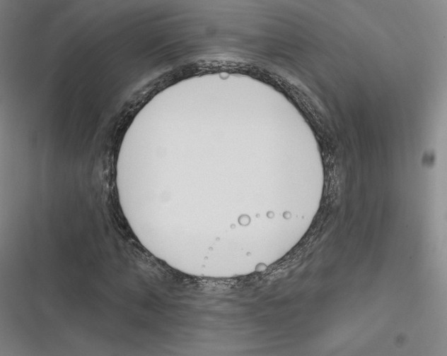 X0000116300870201001111115