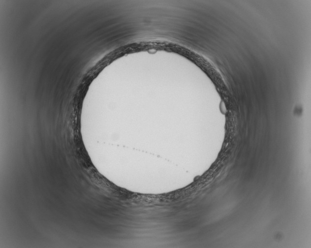 X0000116300871201001111115