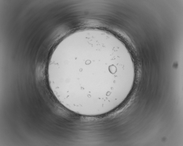 X0000116300873201001111115