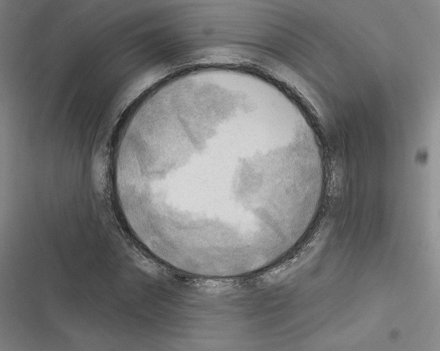 X0000116300874201001111115