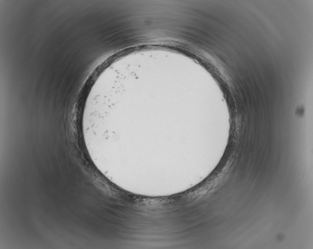 X0000116300875201001111115