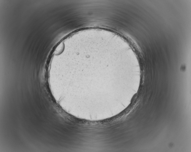 X0000116300876201001111115