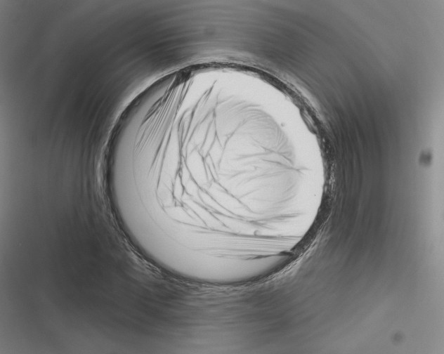 X0000116300877201001111115