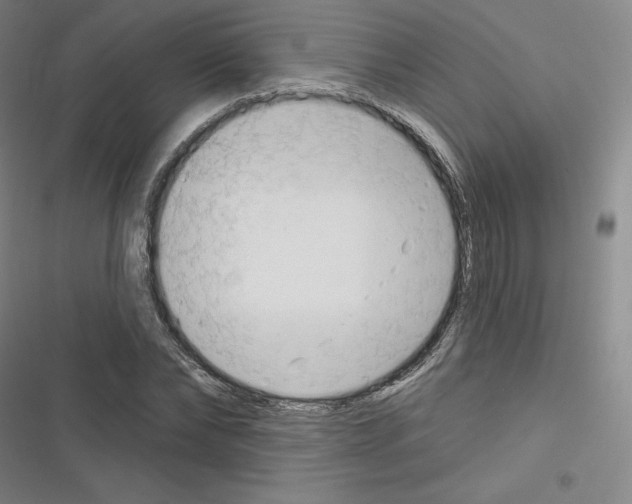 X0000116300878201001111115