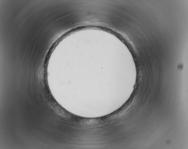 X0000116300879201001111115