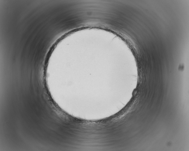 X0000116300880201001111115