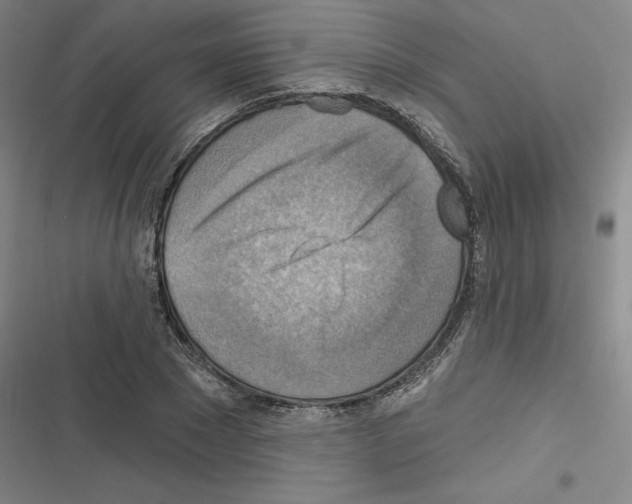 X0000116300881201001111115