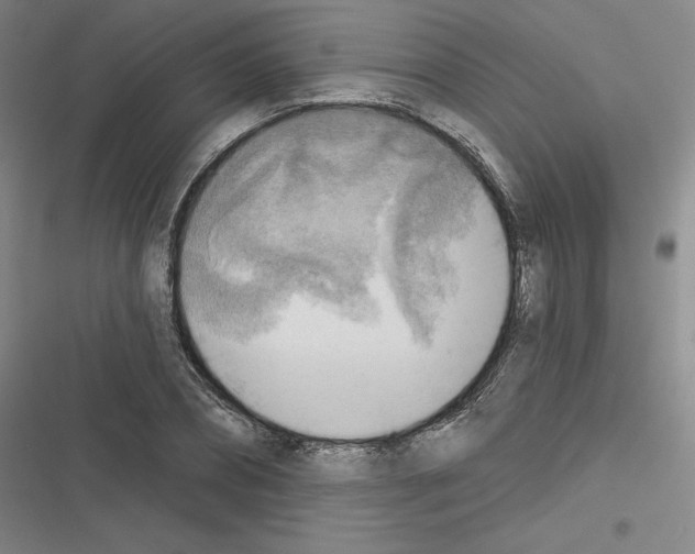 X0000116300882201001111115