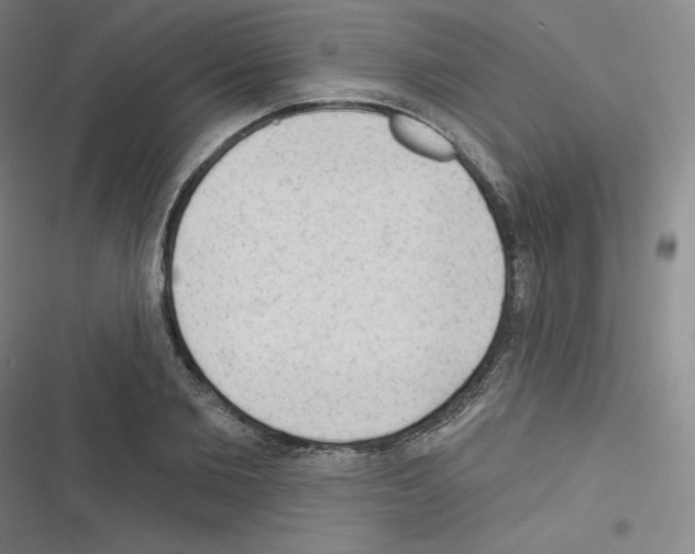 X0000116300885201001111115