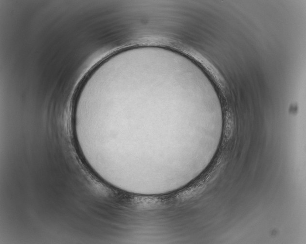 X0000116300886201001111115