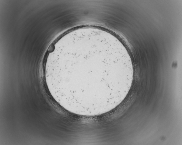 X0000116300887201001111115