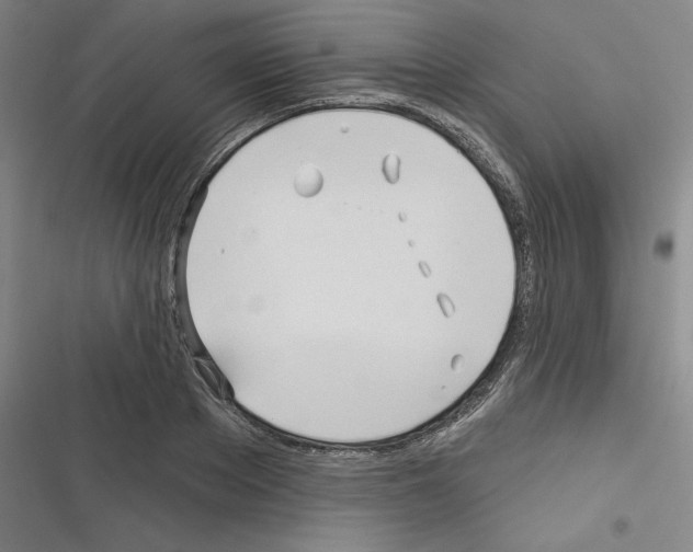 X0000116300889201001111115