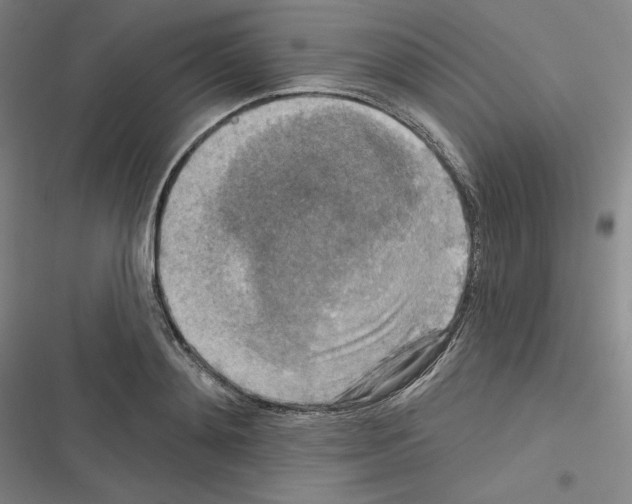 X0000116300892201001111115