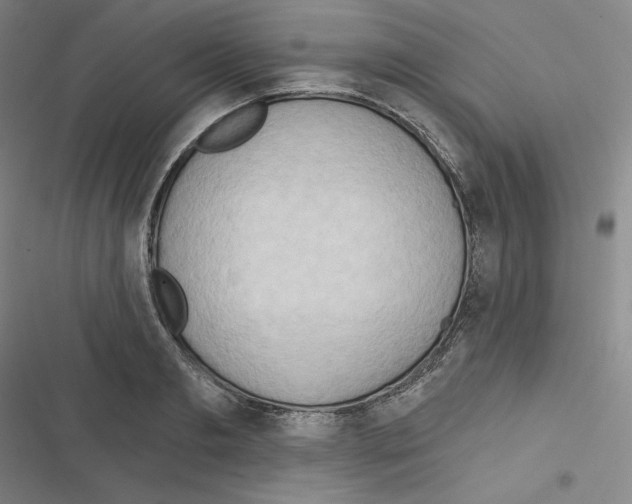 X0000116300893201001111115