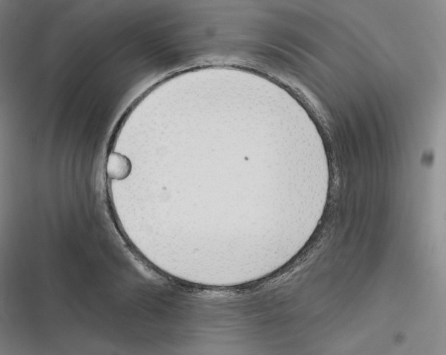 X0000116300894201001111115