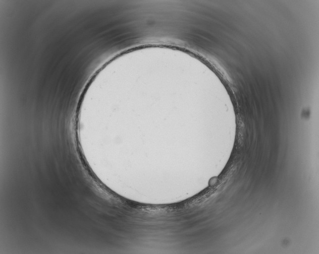 X0000116300895201001111115