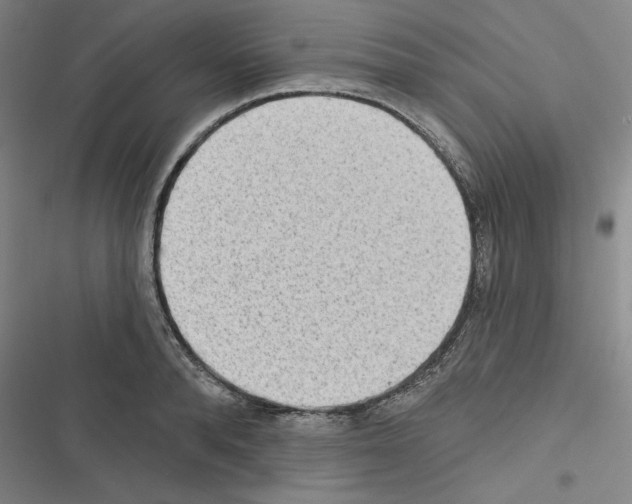 X0000116300896201001111115