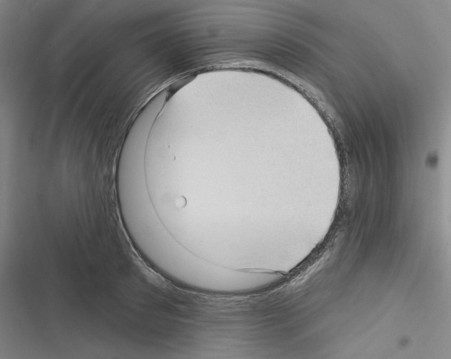 X0000116300897201001111115