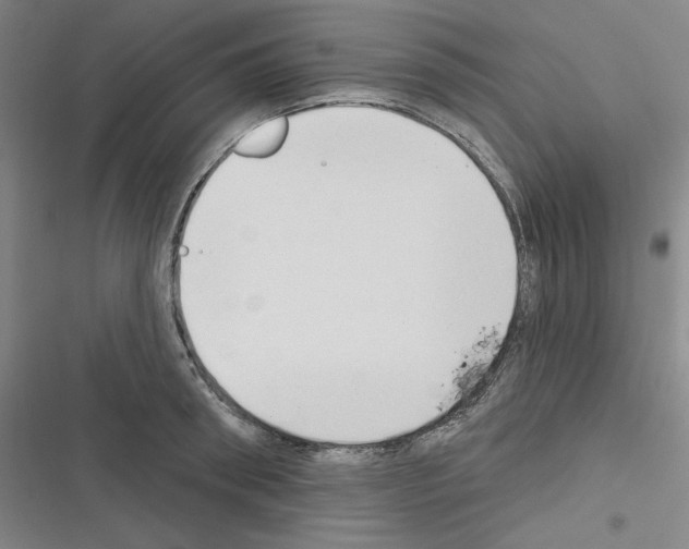 X0000116300898201001111115