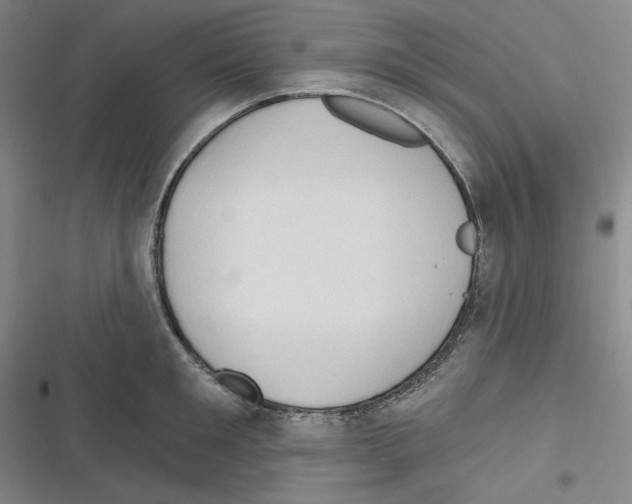 X0000116300901201001111115