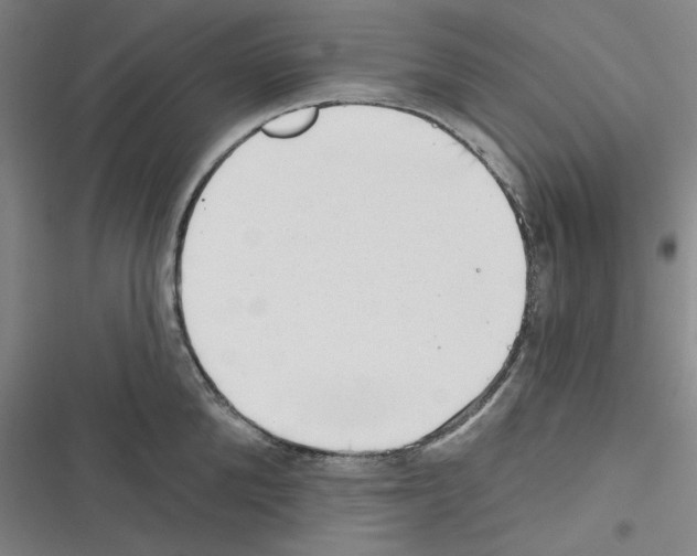 X0000116300904201001111115