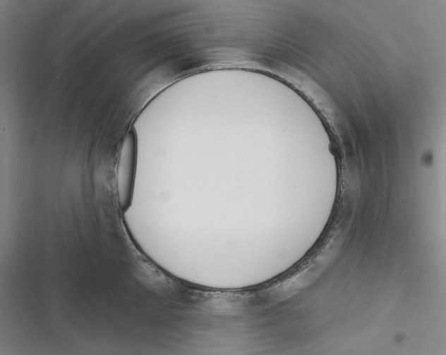 X0000116300905201001111115