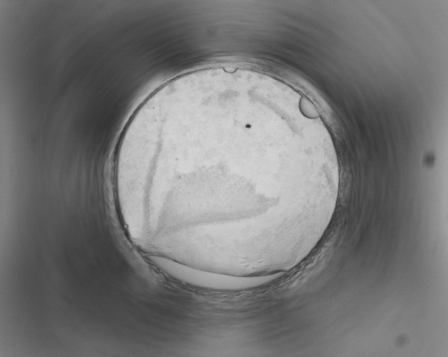 X0000116300907201001111115