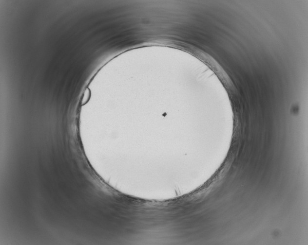 X0000116300908201001111115