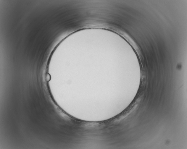 X0000116300909201001111115