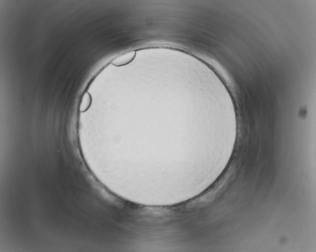 X0000116300910201001111115