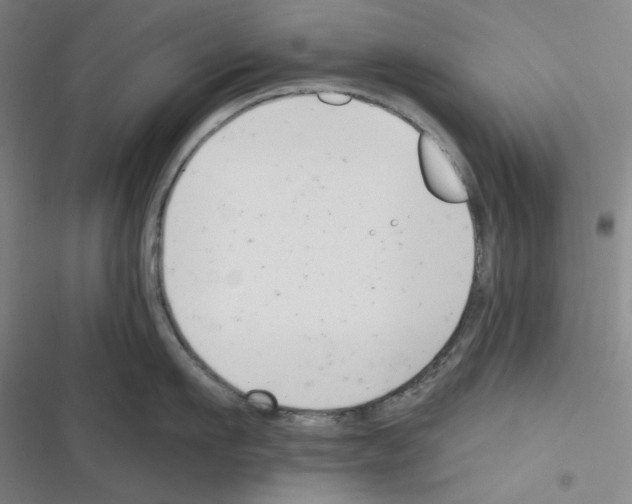 X0000116300911201001111115