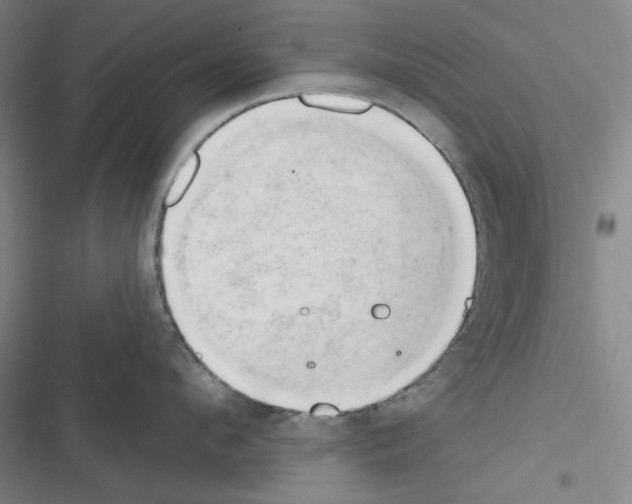 X0000116300912201001111115