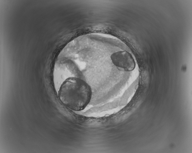 X0000116300913201001111114