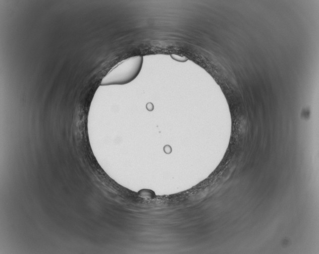 X0000116300914201001111114