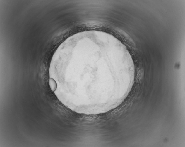 X0000116300917201001111114