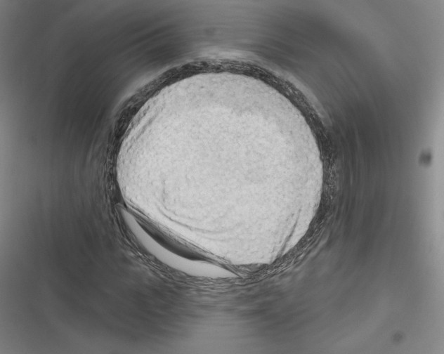 X0000116300919201001111114