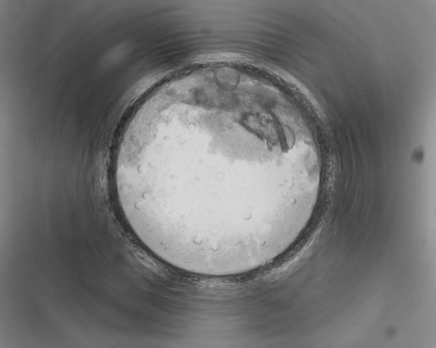 X0000116300921201001111114