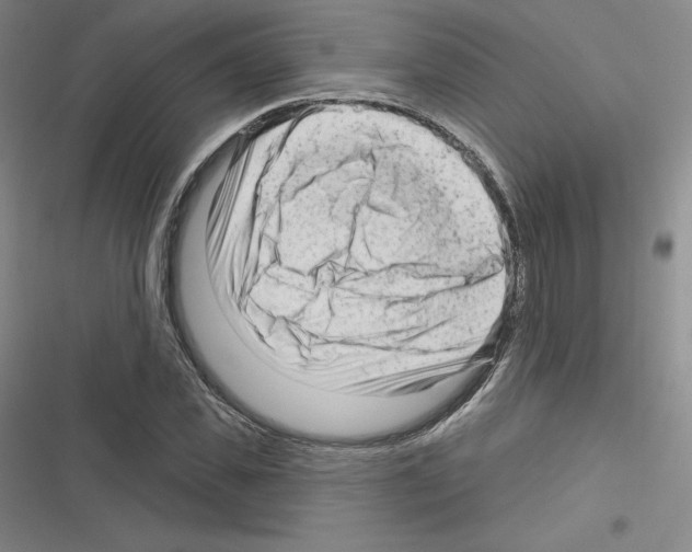 X0000116300925201001111114