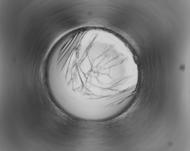 X0000116300926201001111114